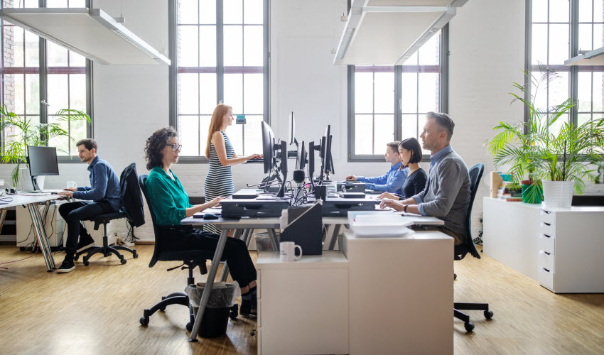 people working in a shared workspace