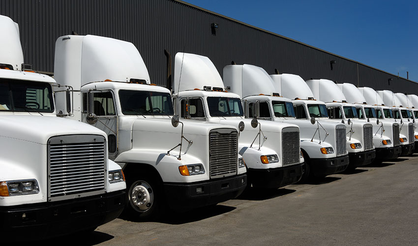 row of parked trucks