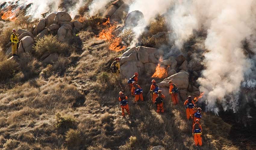 Firefighters-fight-brushfire