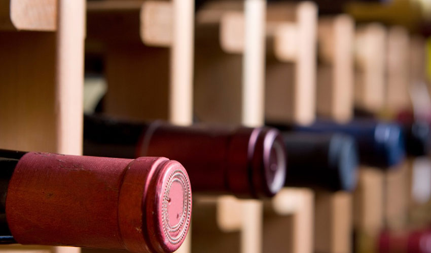 Collection of wine bottles in a cellar