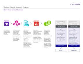 How the Program Works for Small Businesses Document Thumbnail