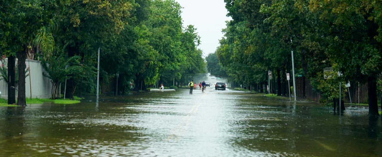 hurricane winds pound the shore