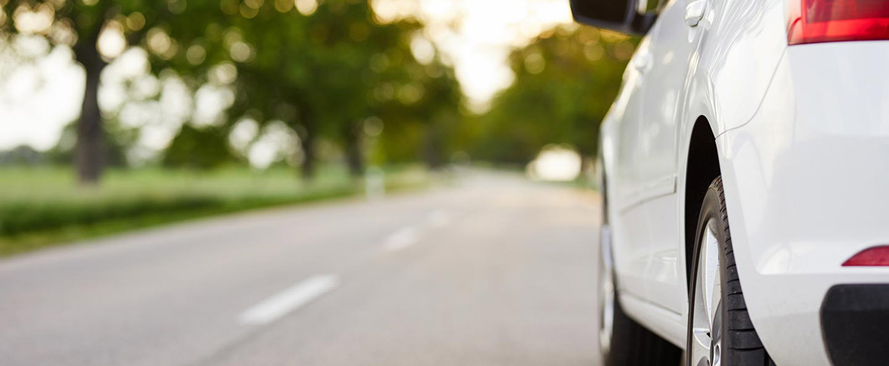 white car on tree lined street
