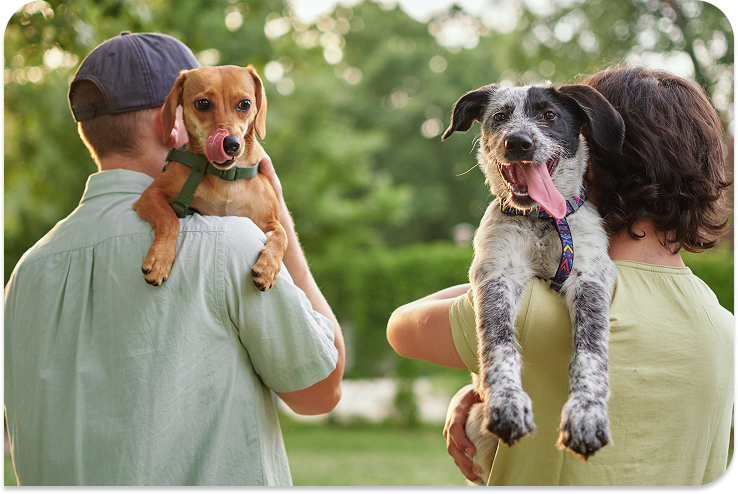 girl petting golden retriever on walking trail